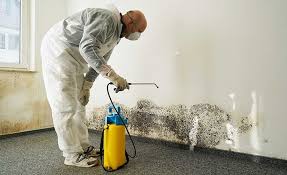 Best Mold Removal for HVAC Installations  in East Alton, IL